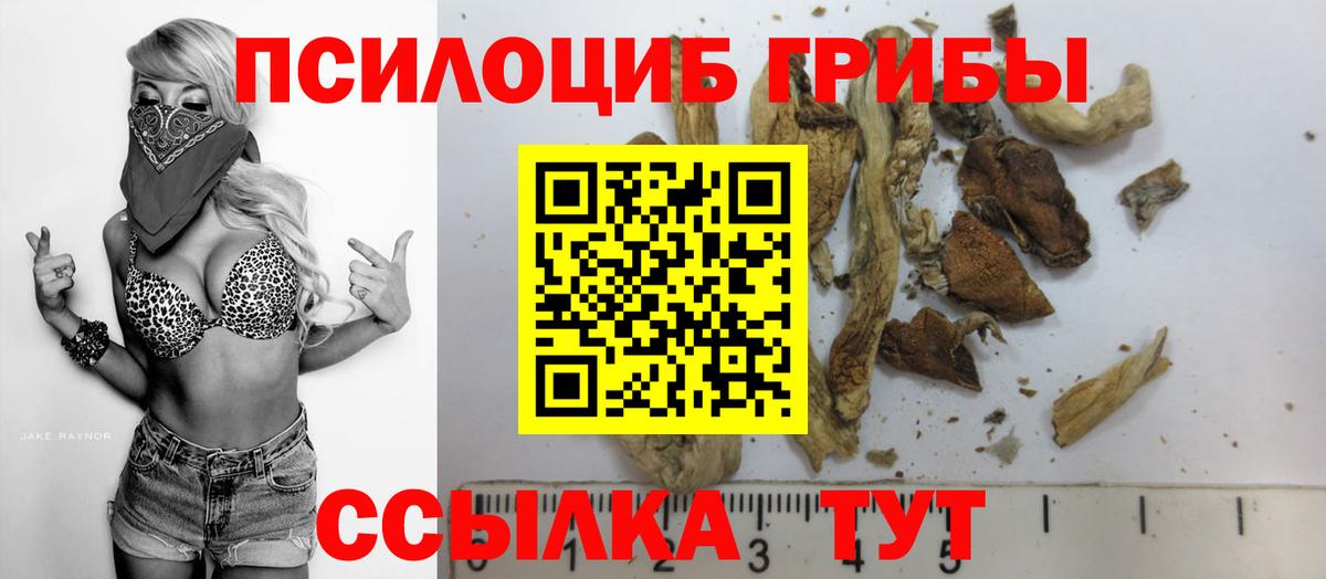 Псилоцибиновые грибы Psilocybe  Вход с VPN  Гудермес 